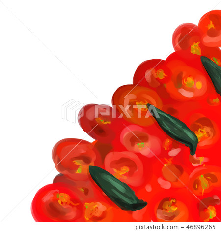 羅勒和番茄（披薩/披薩配料） 46896265