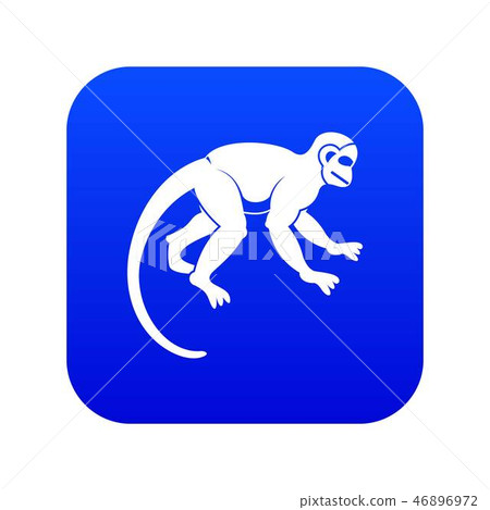 Capuchin monkey icon digital blue Capuchin monkey icon digital blue 46896972