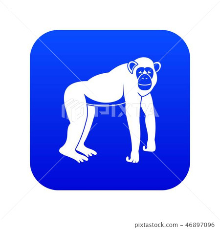 Chimpanzee icon digital blue Chimpanzee icon digital blue 46897096