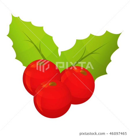 Holly berry icon, isometric style Holly berry icon, isometric style 46897465