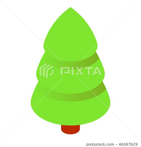 Fir tree icon, isometric style 46897629
