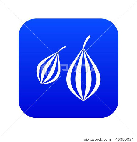 Trachyspermum ammi icon digital blue 46899854