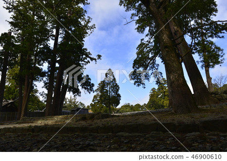 [Mie Prefecture] Ise Shrine Naiku (Old Palace) 46900610