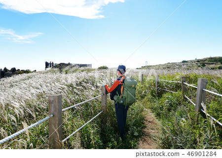 Natural landscape 46901284