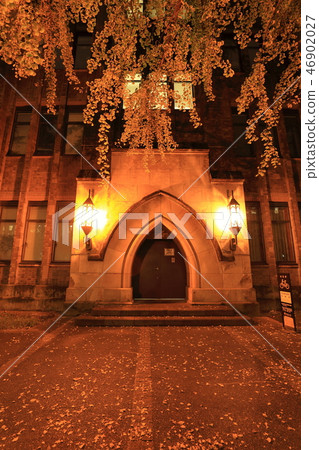 Autumn leaves of the University of Tokyo Hongo campus 46902027