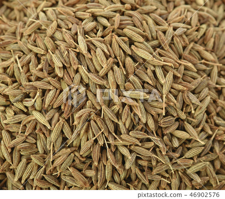Caraway seeds full frame image background Caraway seeds full frame image background 46902576