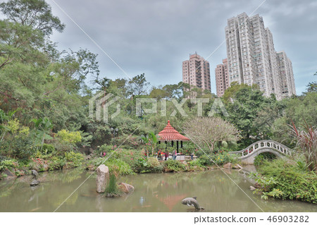 a Park in the New Territories sha tin 46903282