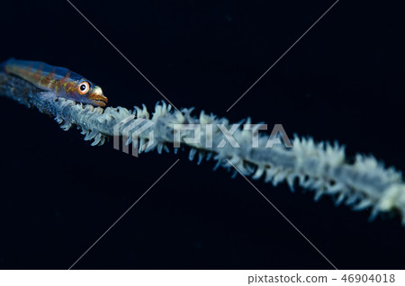 玻璃霧霾 46904018