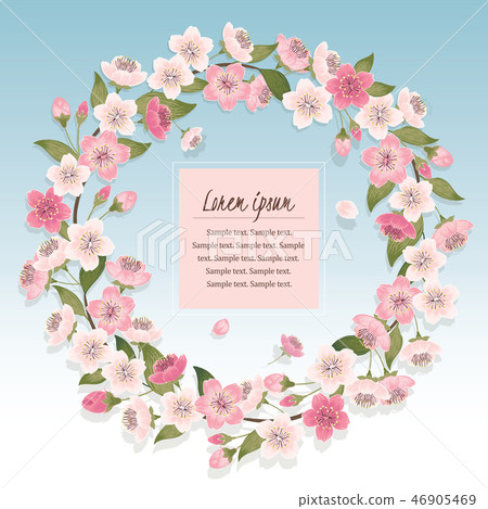 Vector of cherry blossom wreath in spring Vector of cherry blossom wreath in spring 46905469