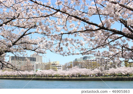 Spring scenery 46905863