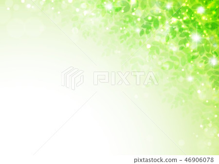 新綠色圖像背景 新綠色圖像背景 46906078