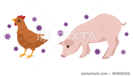 Bird pig disease flu 46906088