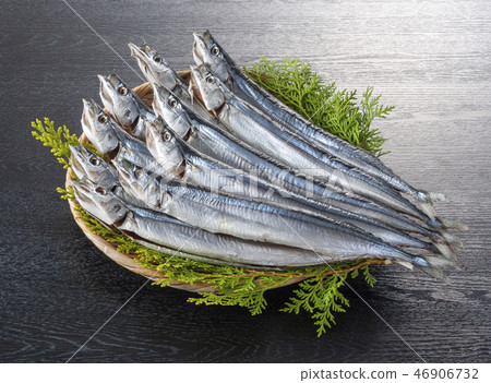 Braised saury 46906732