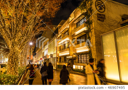 東 Tokyo 表 Omotesando ・ Winter illumination