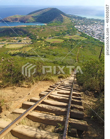 夏威夷可可頭 夏威夷可可頭 46908087