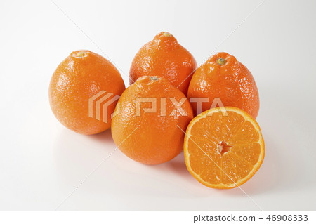 Mineola Orange 46908333