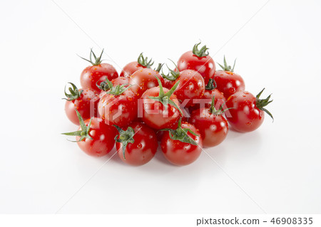  Mini Tomato 46908335