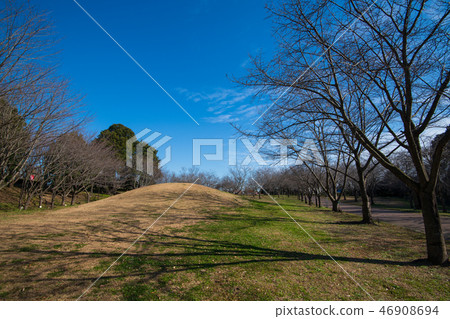 Takao Sakura Park冬季風景Mahoroba no Sato Kitamoto City Takao Sakura Park冬季風景Mahoroba no Sato Kitamoto City 46908694