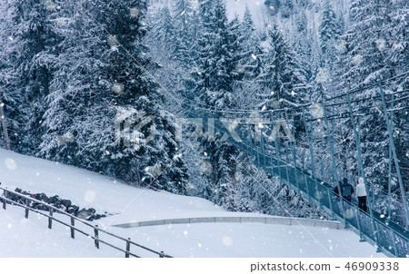 View of snow covered pine forest in Switzerland. 46909338