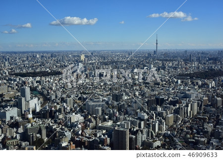 陽光60天文台的東京城和天空樹 46909633