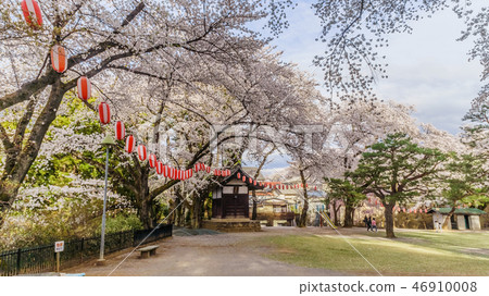 Landscape of Numata Castle in spring Landscape of Numata Castle in spring 46910008