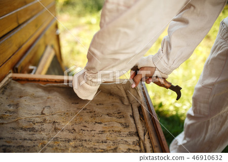 Beekeeper in suit is working at apiary. Opening 46910632