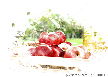 Apple fruits on watercolor illustration painting Apple fruits on watercolor illustration painting 46910811