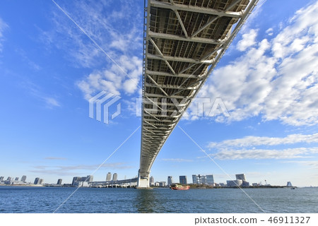 在東京灣的彩虹橋和Odaiba大廈 46911327