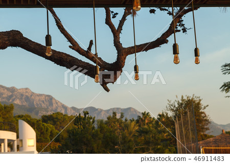 Lighting bulbs hang on long wires Lighting bulbs hang on long wires 46911483