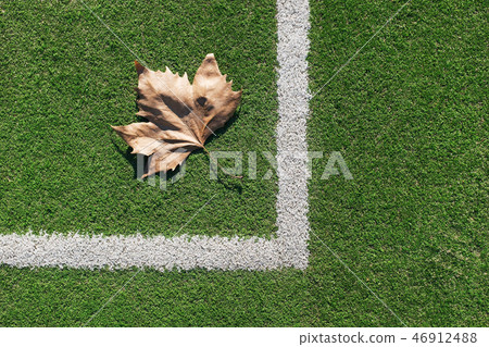 Artificial turf soccer field, a corner marker line Artificial turf soccer field, a corner marker line 46912488