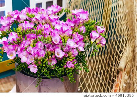 flower bouquet of pink alstroemeria background flower bouquet of pink alstroemeria background 46913396