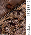 almond brownies on tray with cocoa powder 46913842