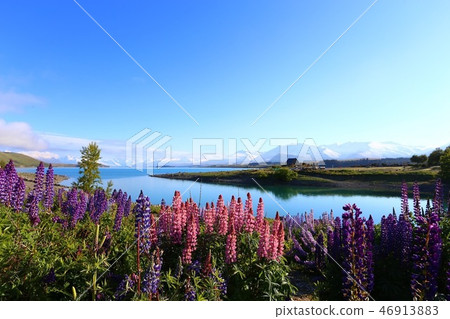 Tekapo Tekapo 46913883