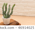 small plant on desk as decoration 46914025