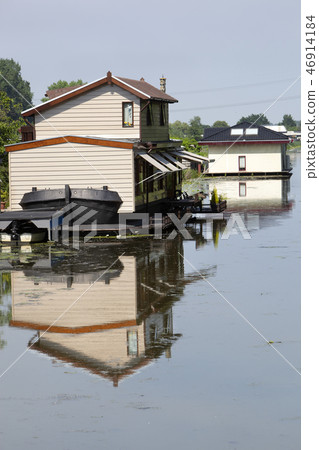 Rural scene of houseboats in the Netherlands Rural scene of houseboats in the Netherlands 46914184