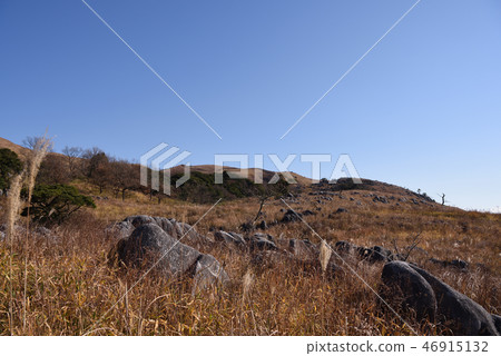 Winter Hiraodai 46915132