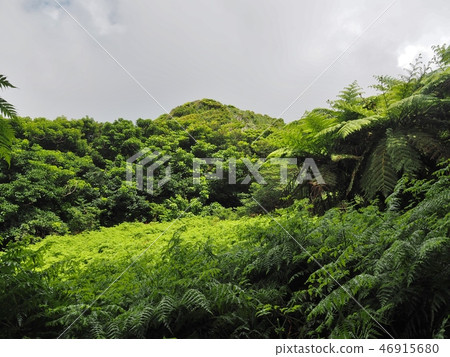 Scenery of Sakagogake 46915680