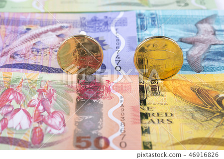 Fijian Dollar coins on the background of banknotes Fijian Dollar coins on the background of banknotes 46916826