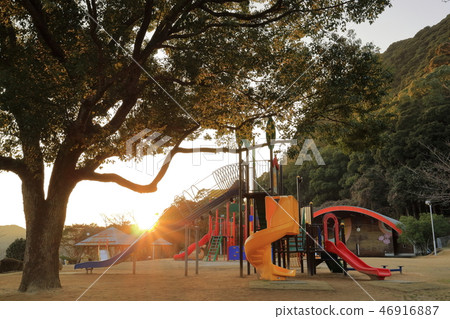 黃昏的丸山公園 46916887