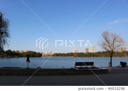 Walk in the park 46918296