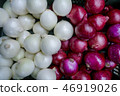 洋蔥 46919026