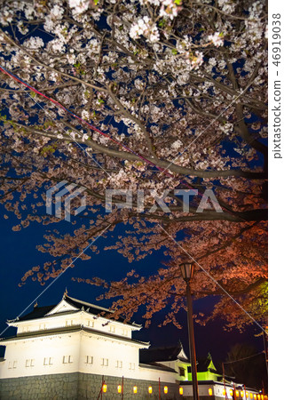 Sunpu Castle, Tomon Gate, Tokugawa Ieyasu, Ieyasu Tokugawa 46919038