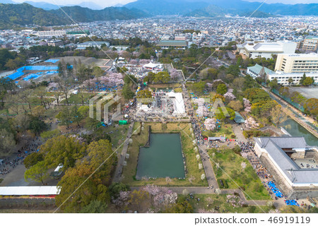 Sefu城堡和櫻花 46919119