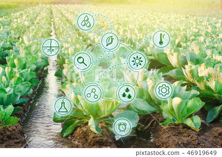 Natural watering of agriculture. High technologies 46919649