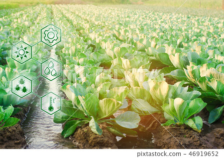 Natural watering of agriculture. High technologies Natural watering of agriculture. High technologies 46919652