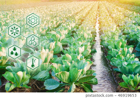 Natural watering of agriculture. High technologies 46919653