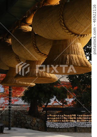 冬天到秋天的紅葉和一大系列的出雲大社神樂（縱向） 46922116