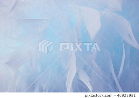 Abstract blue tone feathers background. Abstract blue tone feathers background. 46922981
