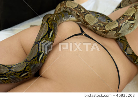 Python on naked female body. 46923208