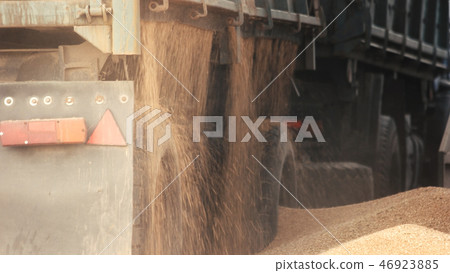Truck unloading grain, close up. Truck unloading grain, close up. 46923885